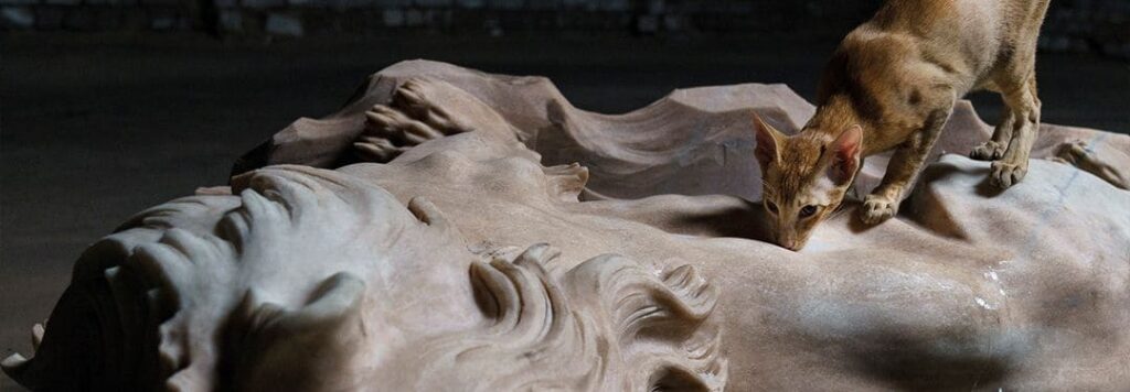 Museo Tamayo Arte Contemporáneo en CDMX 5 3 1