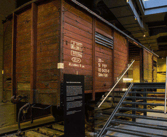 Explora el Museo Memoria y Tolerancia en Ciudad de México: Historia, Reflexión y Aprendizaje 3 2 2 1 1 1 1