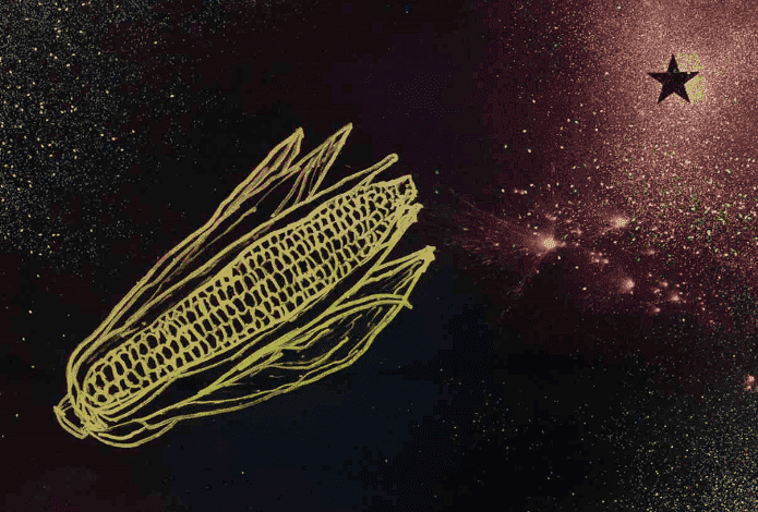 Museo Universitario de Arte Contemporáneo (MUAC): Vanguardia en el Arte en Ciudad de México 19 3 1 1 1 1