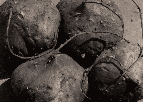 Museo de Arte Moderno en Ciudad de México: Un Vistazo a la Vanguardia Artística 16 3 1 6